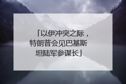 以伊冲突之际，特朗普会见巴基斯坦陆军参谋长