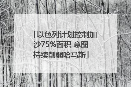 以色列计划控制加沙75%面积 意图持续削弱哈马斯