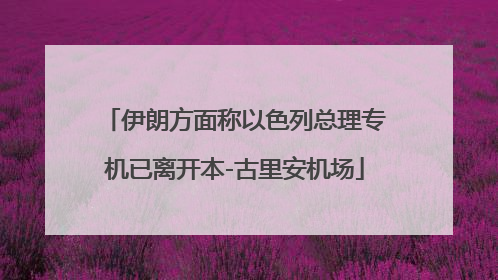 伊朗方面称以色列总理专机已离开本-古里安机场