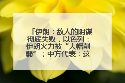 伊朗：敌人的阴谋彻底失败，以色列：伊朗火力被“大幅削弱”；中方代表：这次不能再有欺骗