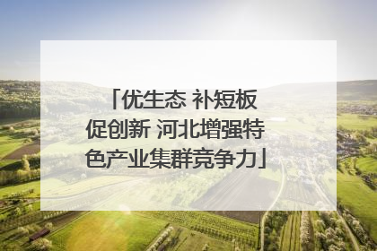 优生态 补短板 促创新 河北增强特色产业集群竞争力