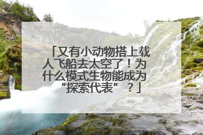 又有小动物搭上载人飞船去太空了！为什么模式生物能成为“探索代表”？