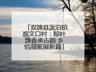 双牌县泷泊镇观文口村：粽叶飘香承古韵 乡情凝聚展新篇