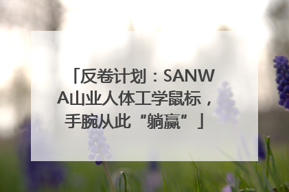 反卷计划：SANWA山业人体工学鼠标，手腕从此“躺赢”