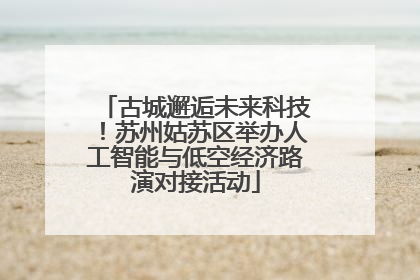 古城邂逅未来科技！苏州姑苏区举办人工智能与低空经济路演对接活动