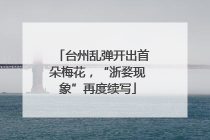 台州乱弹开出首朵梅花，“浙婺现象”再度续写