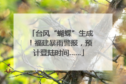 台风“蝴蝶”生成！福建暴雨警报，预计登陆时间……
