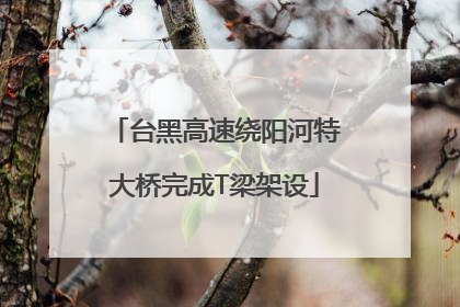 台黑高速绕阳河特大桥完成T梁架设
