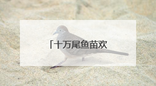 十万尾鱼苗欢快跃入湟水