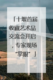十堰首届收藏艺术品交流会开启，专家现场“掌眼”