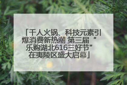 千人火锅、科技元素引爆消费新热潮 第三届“乐购湖北616三好节”在夷陵区盛大启幕