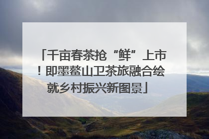 千亩春茶抢“鲜”上市！即墨鳌山卫茶旅融合绘就乡村振兴新图景