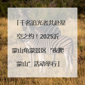 千名追光者共赴星空之约！2025沂蒙山龟蒙景区“夜爬蒙山”活动举行