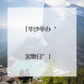 华沙举办“宠物日”