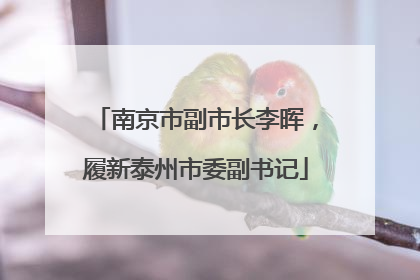 南京市副市长李晖，履新泰州市委副书记