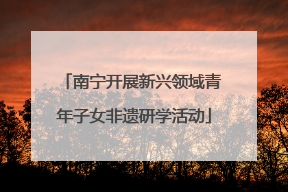 南宁开展新兴领域青年子女非遗研学活动