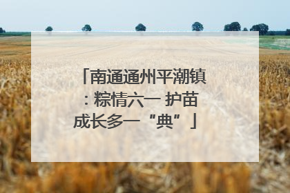 南通通州平潮镇：粽情六一 护苗成长多一“典”