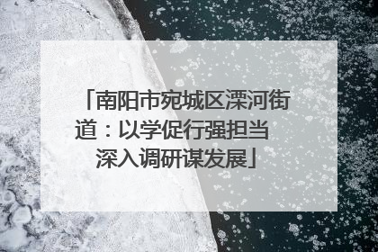 南阳市宛城区溧河街道：以学促行强担当 深入调研谋发展