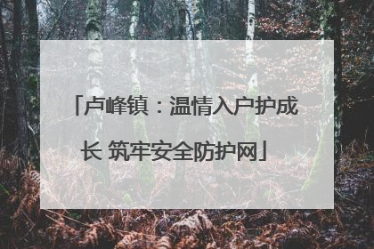 卢峰镇：温情入户护成长 筑牢安全防护网