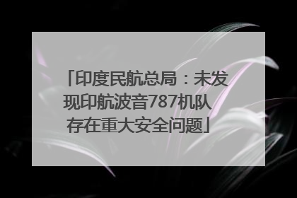 印度民航总局：未发现印航波音787机队存在重大安全问题