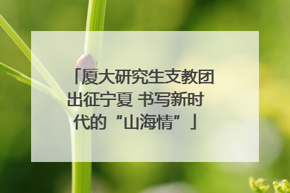厦大研究生支教团出征宁夏 书写新时代的“山海情”