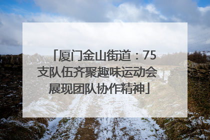 厦门金山街道：75支队伍齐聚趣味运动会 展现团队协作精神