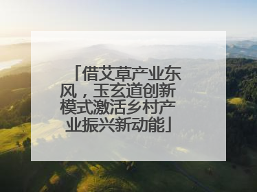 借艾草产业东风，玉玄道创新模式激活乡村产业振兴新动能