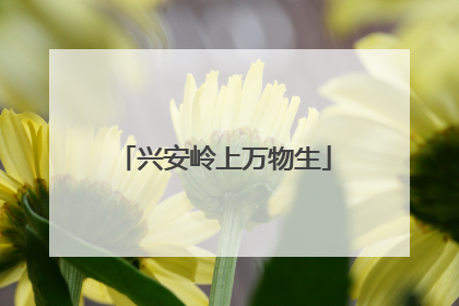 兴安岭上万物生