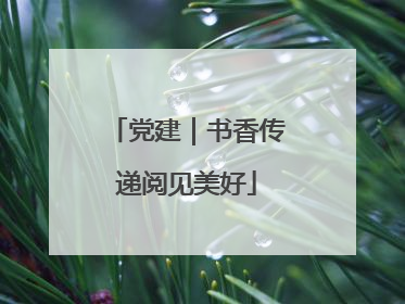 党建｜书香传递阅见美好