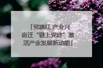党旗红 产业兴 宿迁“链上党建”激活产业发展新动能