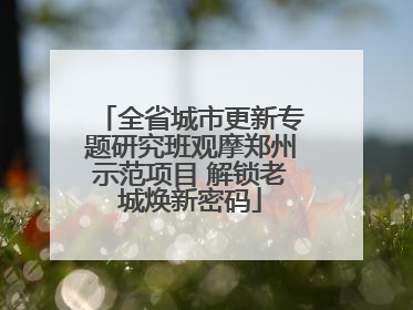 全省城市更新专题研究班观摩郑州示范项目 解锁老城焕新密码