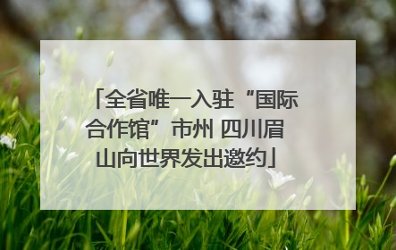 全省唯一入驻“国际合作馆”市州 四川眉山向世界发出邀约