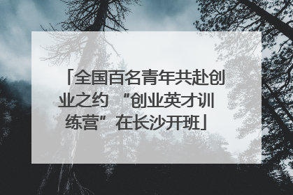 全国百名青年共赴创业之约 “创业英才训练营”在长沙开班