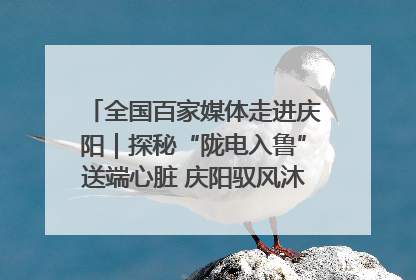 全国百家媒体走进庆阳｜探秘“陇电入鲁”送端心脏 庆阳驭风沐光点亮齐鲁万家