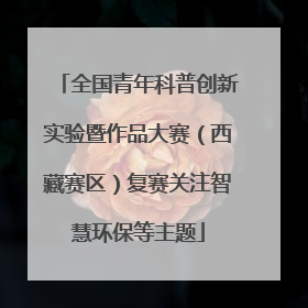 全国青年科普创新实验暨作品大赛（西藏赛区）复赛关注智慧环保等主题