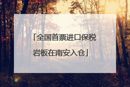 全国首票进口保税岩板在南安入仓