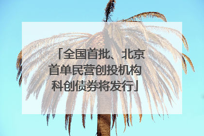 全国首批、北京首单民营创投机构科创债券将发行