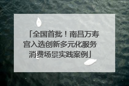 全国首批！南昌万寿宫入选创新多元化服务消费场景实践案例