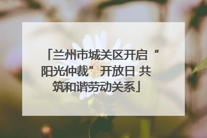 兰州市城关区开启“阳光仲裁”开放日 共筑和谐劳动关系