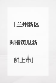 兰州新区拇指黄瓜新鲜上市