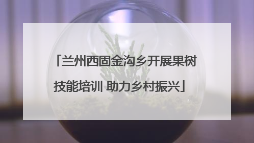 兰州西固金沟乡开展果树技能培训 助力乡村振兴