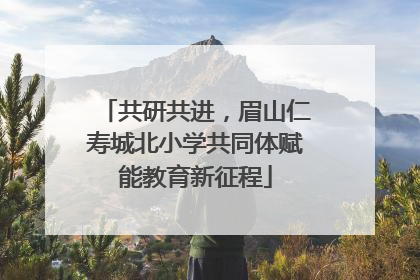共研共进，眉山仁寿城北小学共同体赋能教育新征程
