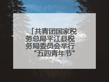 共青团国家税务总局平江县税务局委员会举行“五四青年节”主题团日活动