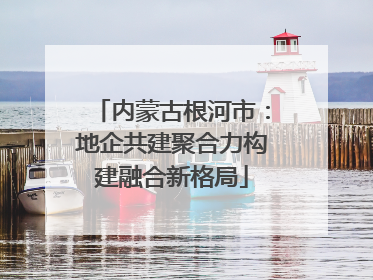 内蒙古根河市：地企共建聚合力构建融合新格局