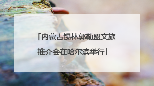 内蒙古锡林郭勒盟文旅推介会在哈尔滨举行