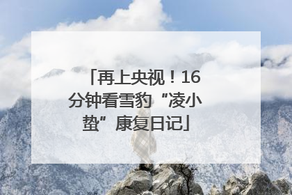 再上央视！16分钟看雪豹“凌小蛰”康复日记