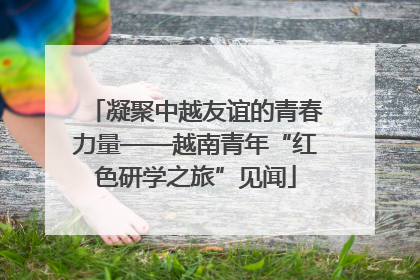 凝聚中越友谊的青春力量——越南青年“红色研学之旅”见闻