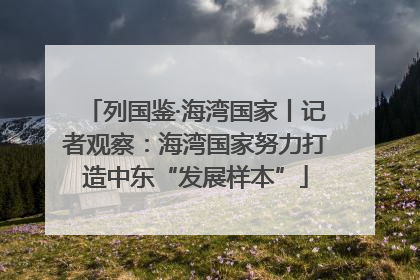 列国鉴·海湾国家丨记者观察：海湾国家努力打造中东“发展样本”