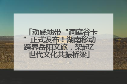 动感地带“洞庭谷卡”正式发布！湖南移动跨界岳阳文旅，架起Z世代文化共振桥梁