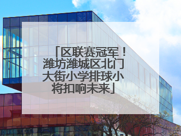 区联赛冠军！潍坊潍城区北门大街小学排球小将扣响未来